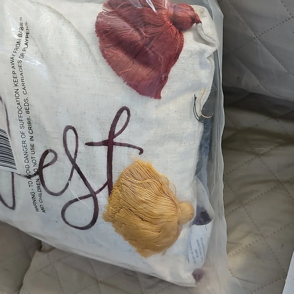 Nwt 2 Happy Harvest Pillow with Multicolor Tassels